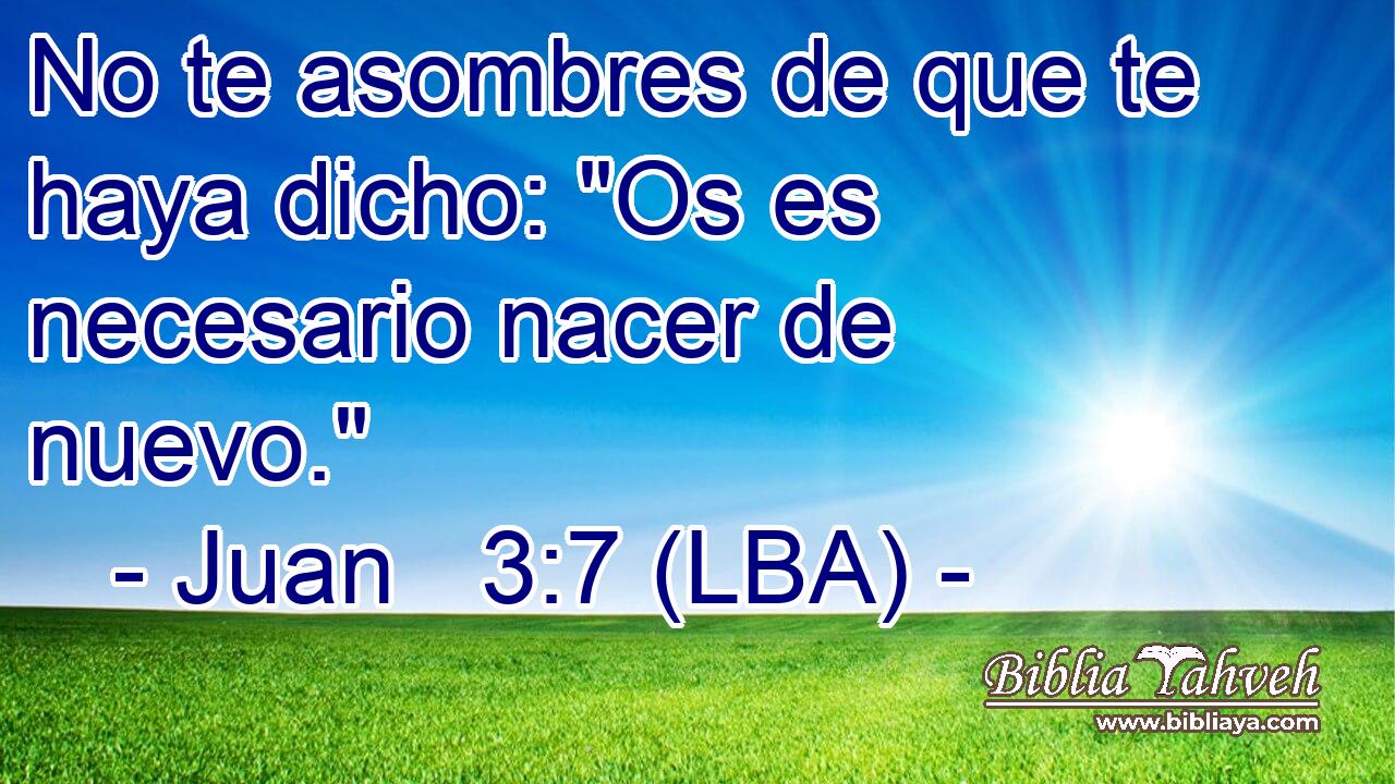 No te asombres de que te haya dicho: 