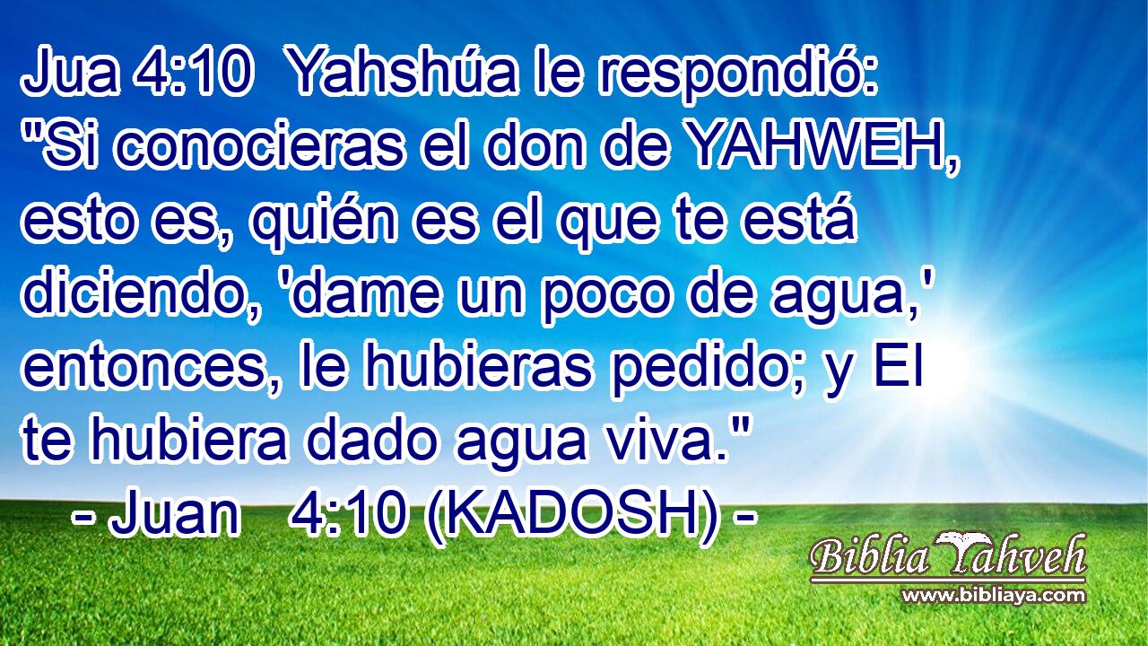  Yahshúa le respondió: 