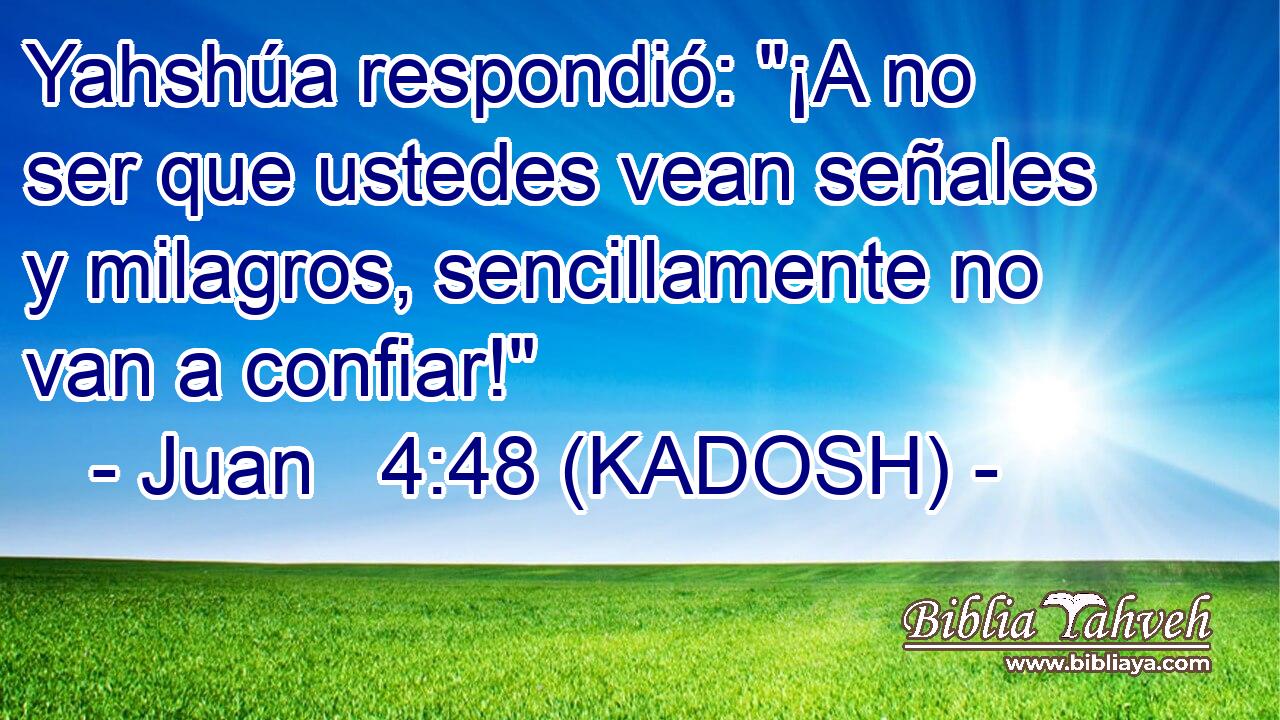  Yahshúa respondió: 