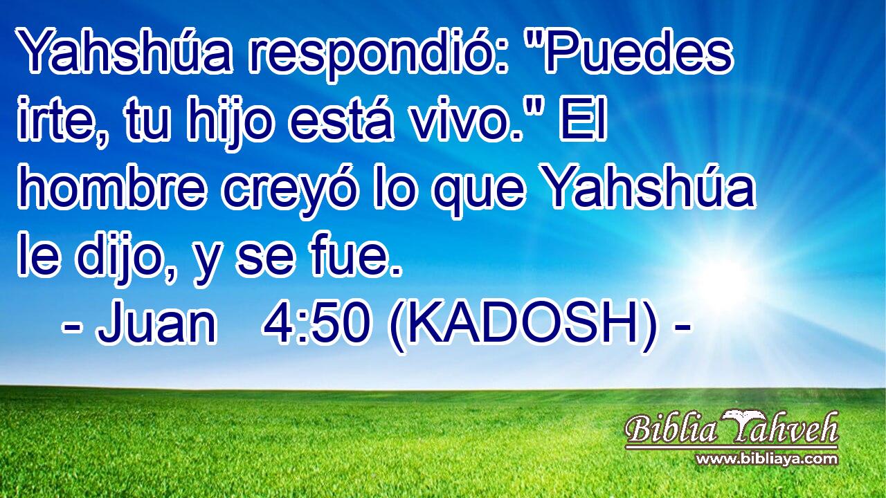  Yahshúa respondió: 