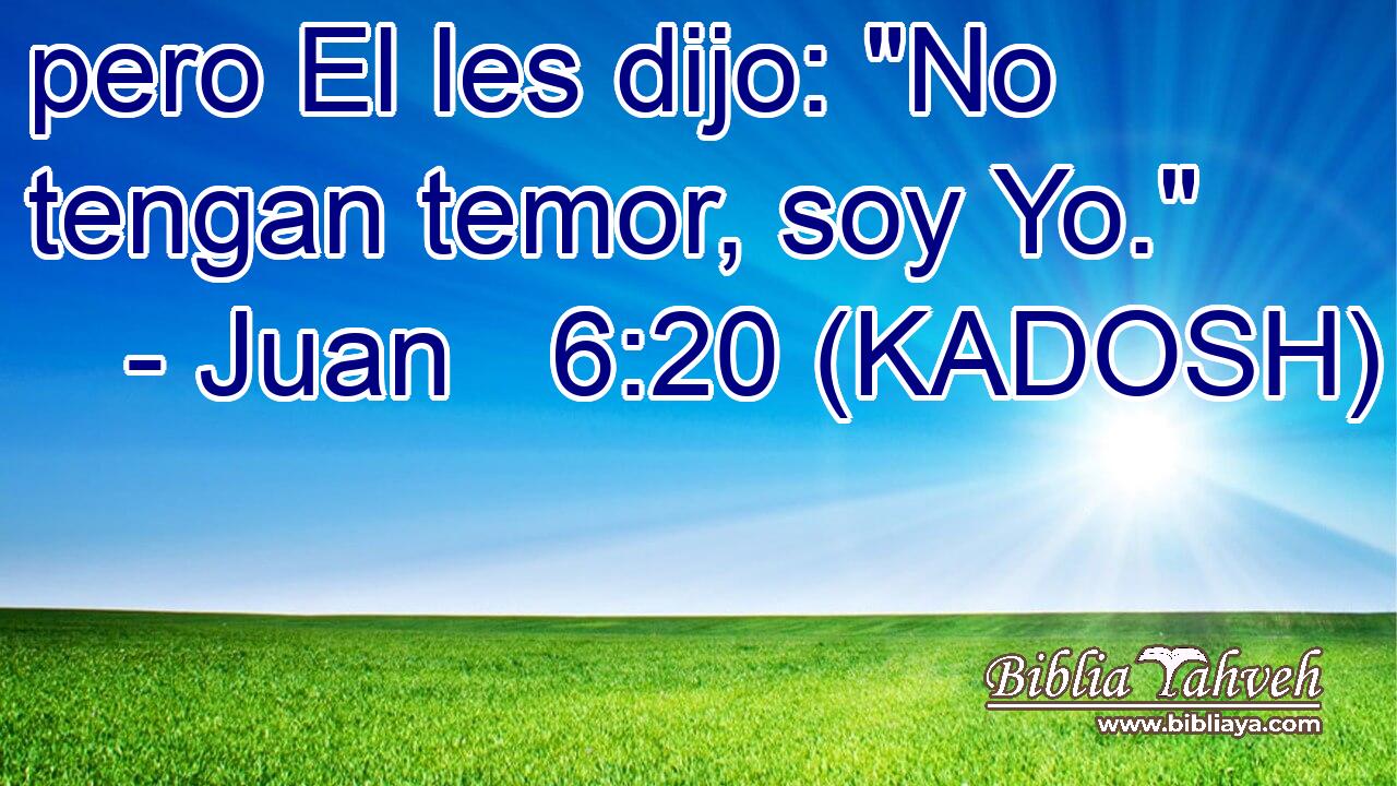  pero El les dijo: 
