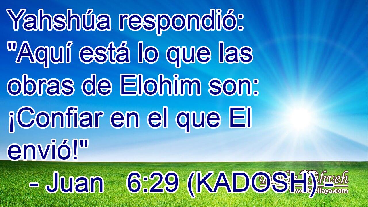  Yahshúa respondió: 