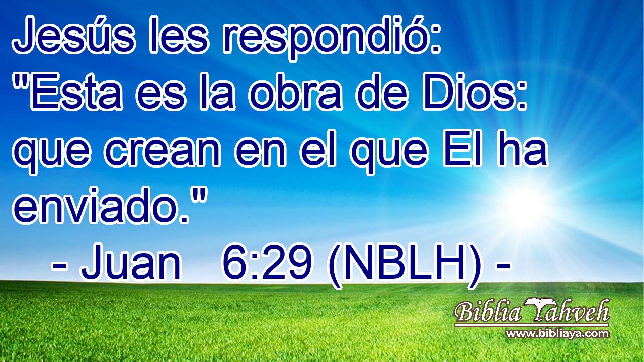  Jesús les respondió: 