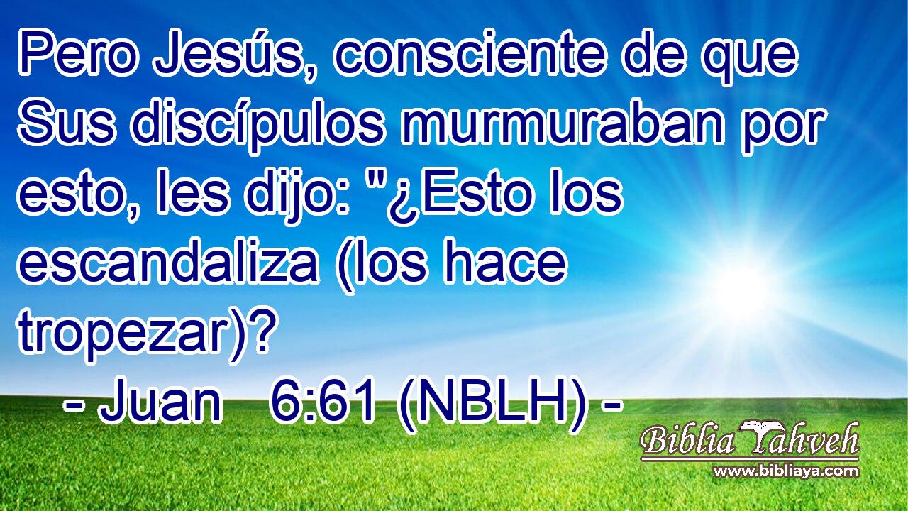  Pero Jesús, consciente de que Sus discípulos murmuraban por esto, les dijo: 