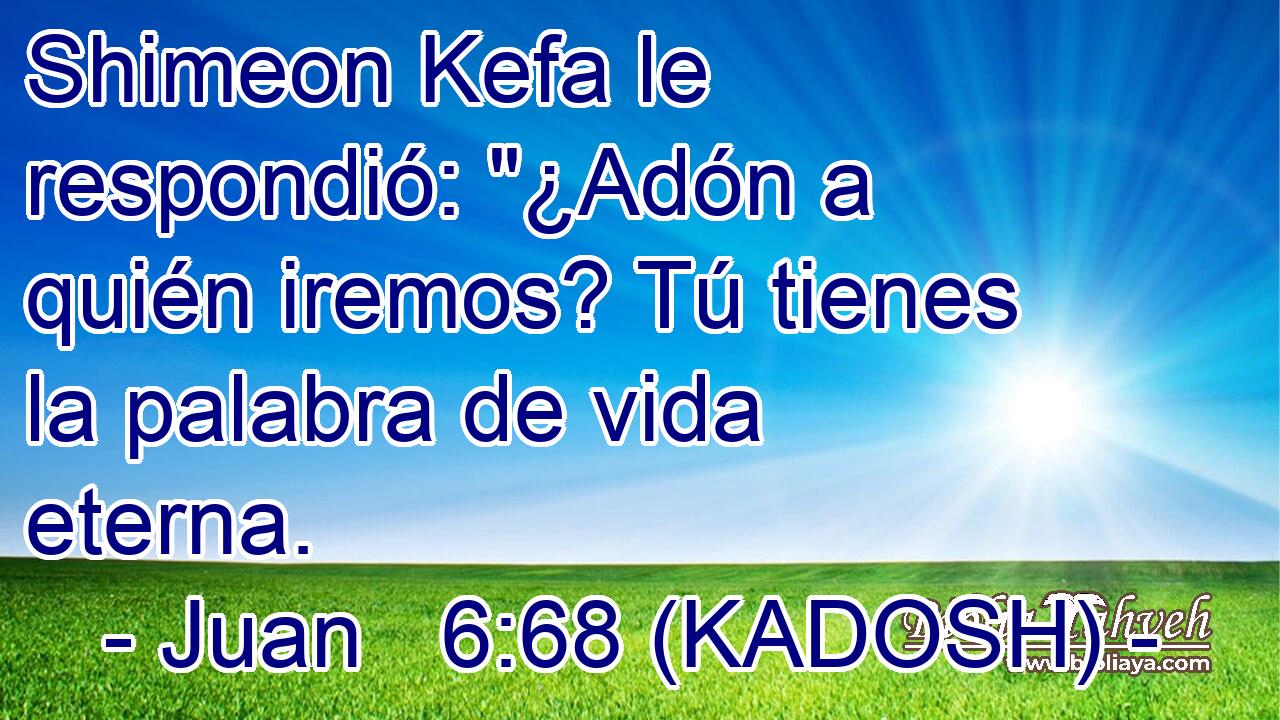 Shimeon Kefa le respondió: 
