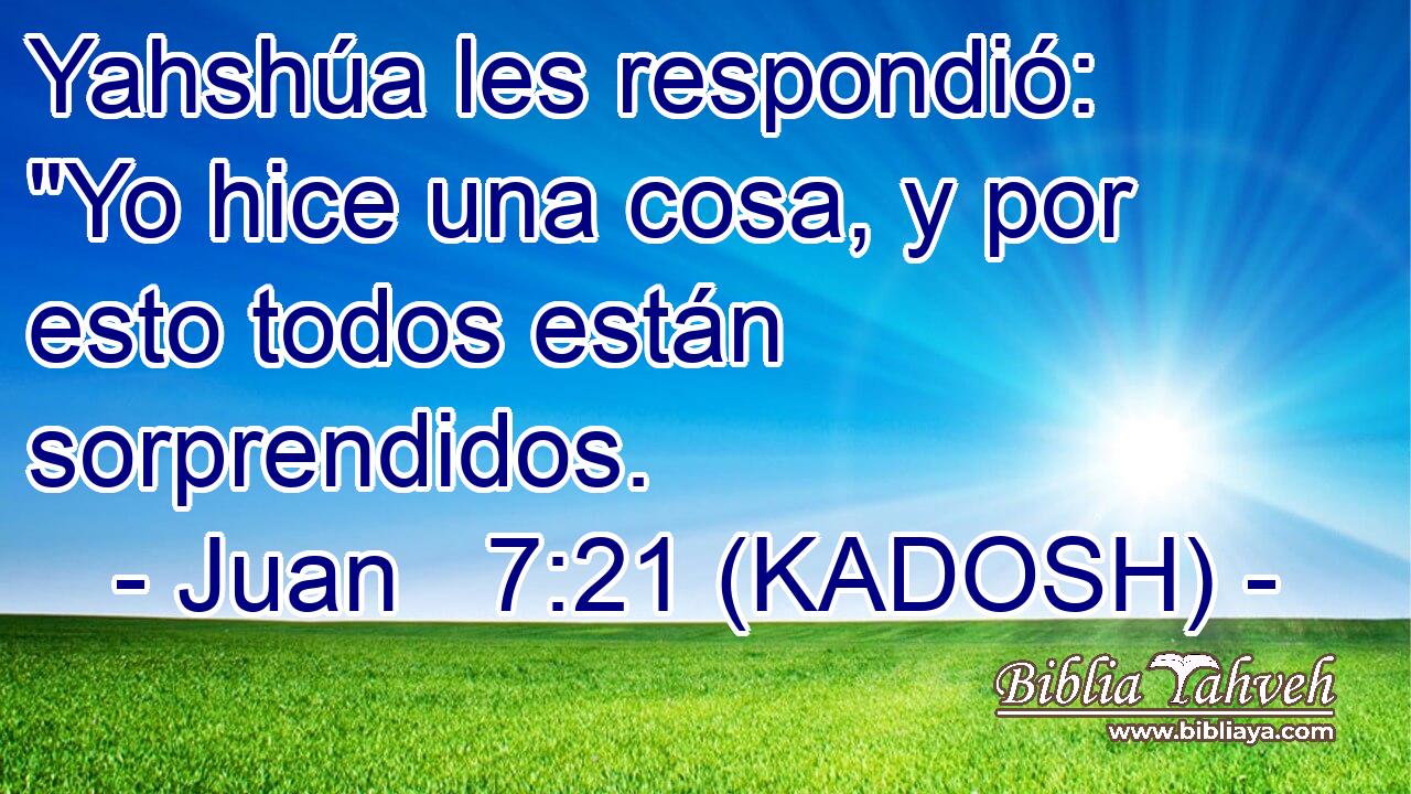  Yahshúa les respondió: 