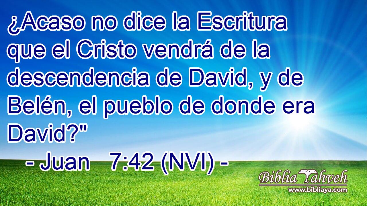  ¿Acaso no dice la Escritura que el Cristo vendrá de la descendencia de David, y de Belén, el pueblo de donde era David?