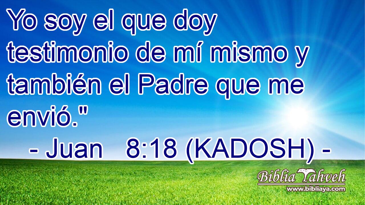  Yo soy el que doy testimonio de mí mismo y también el Padre que me envió.