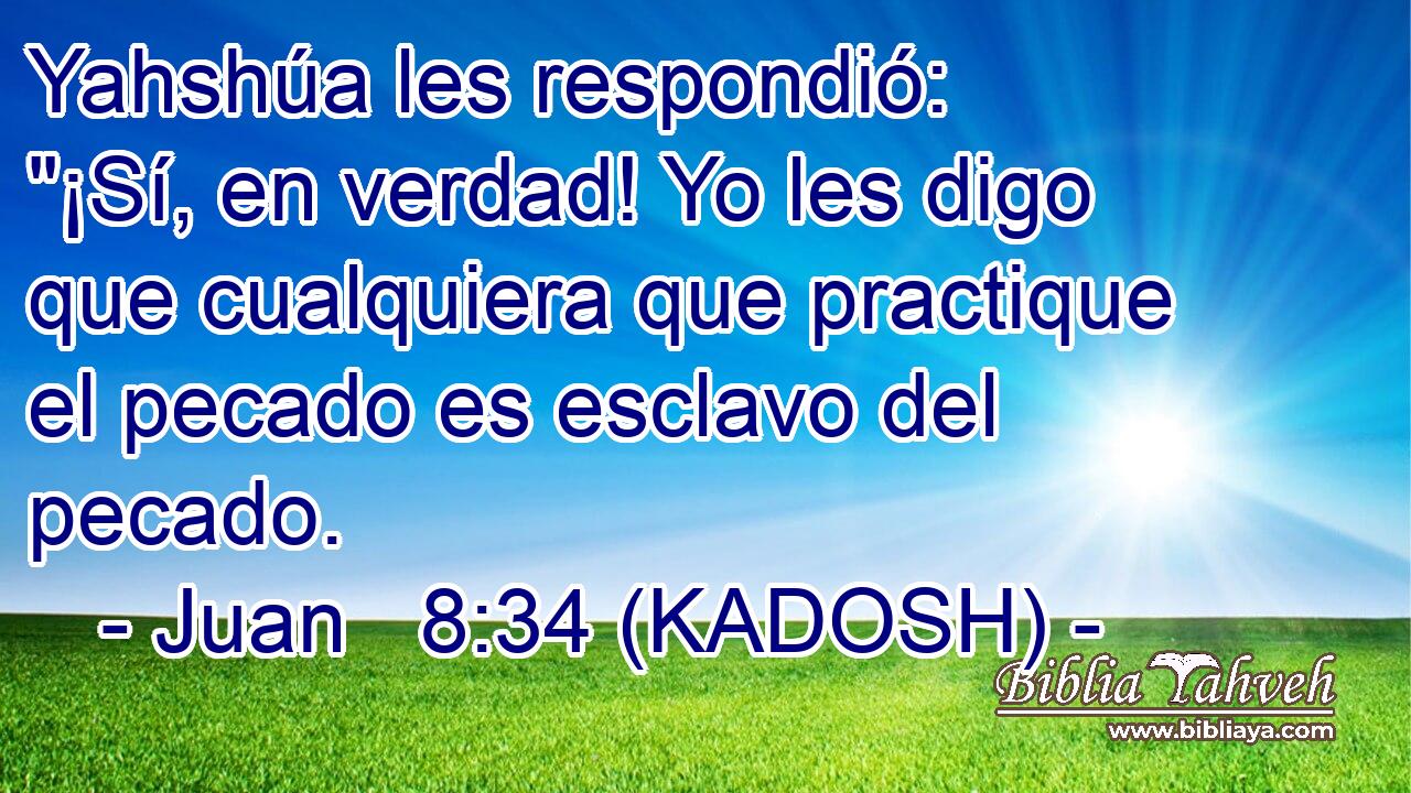  Yahshúa les respondió: 