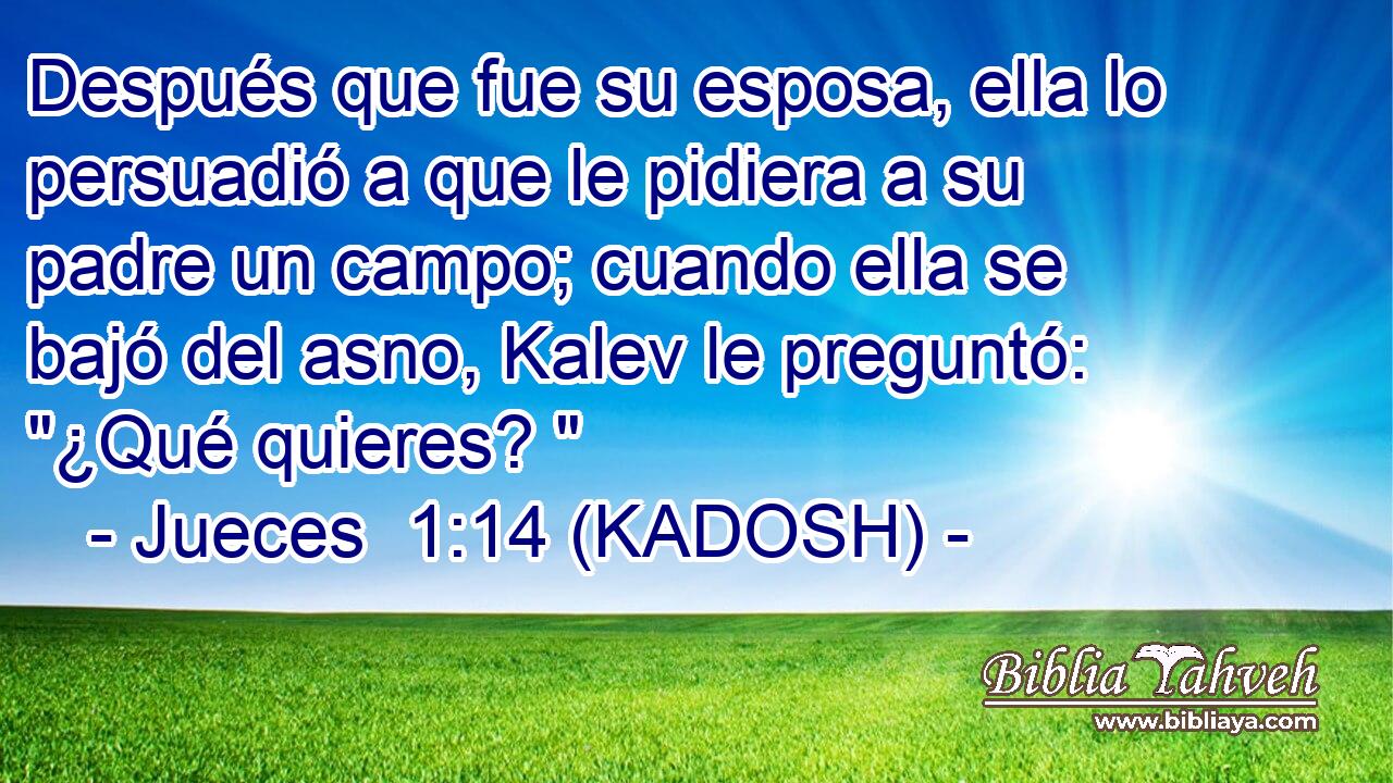  Después que fue su esposa, ella lo persuadió a que le pidiera a su padre un campo; cuando ella se bajó del asno, Kalev le preguntó: 
