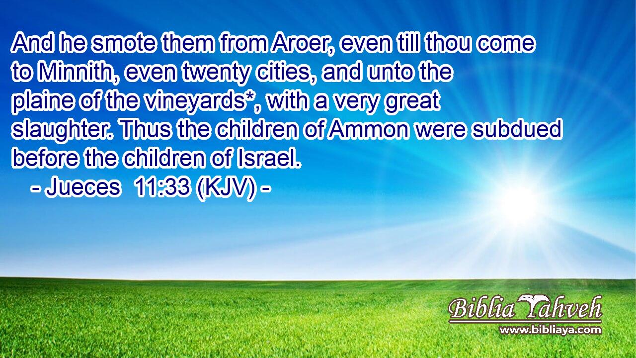 And he smote them from Aroer, even till thou come to Minnith, even twenty cities, and unto the plaine of the vineyards*, with a very great slaughter. Thus the children of Ammon were subdued before the children of Israel.