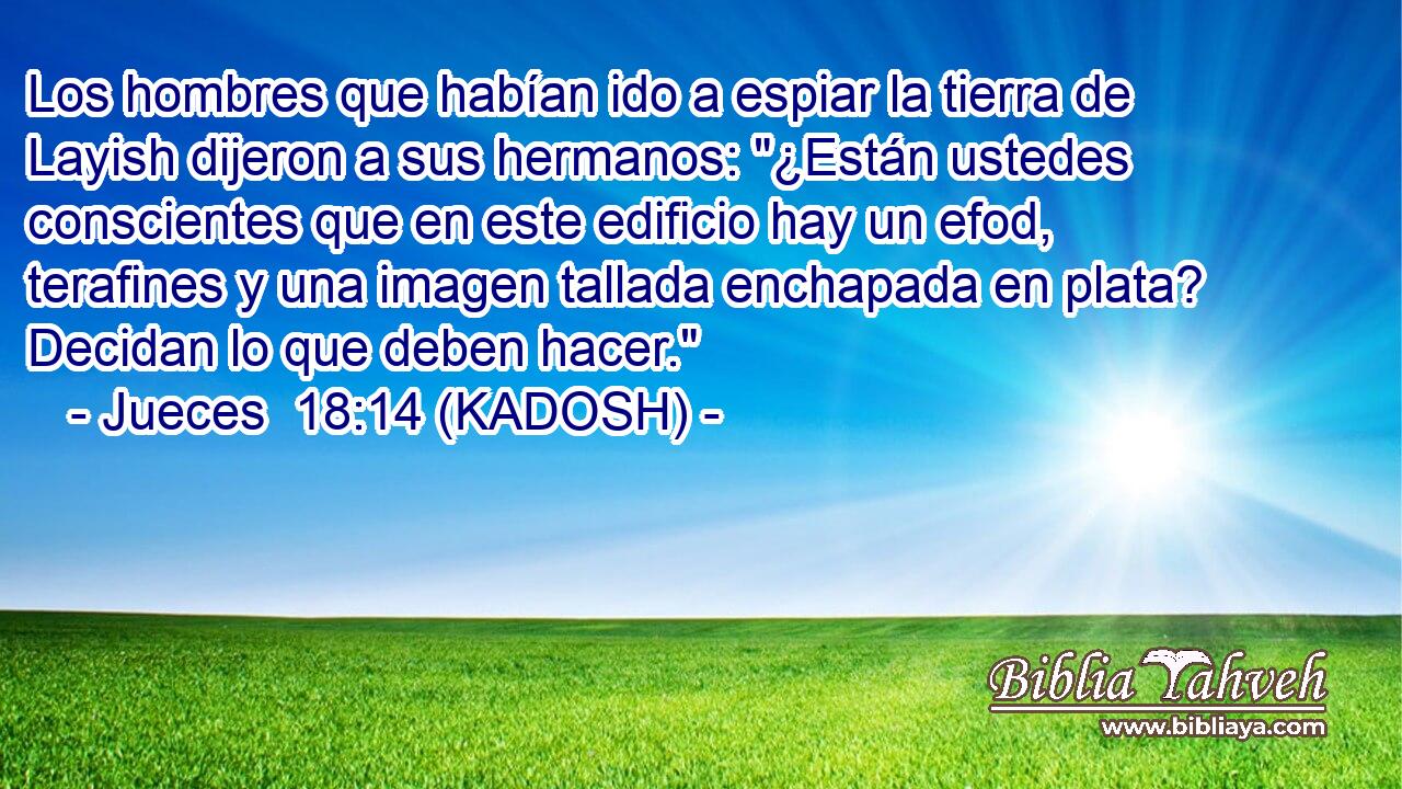  Los hombres que habían ido a espiar la tierra de Layish dijeron a sus hermanos: 