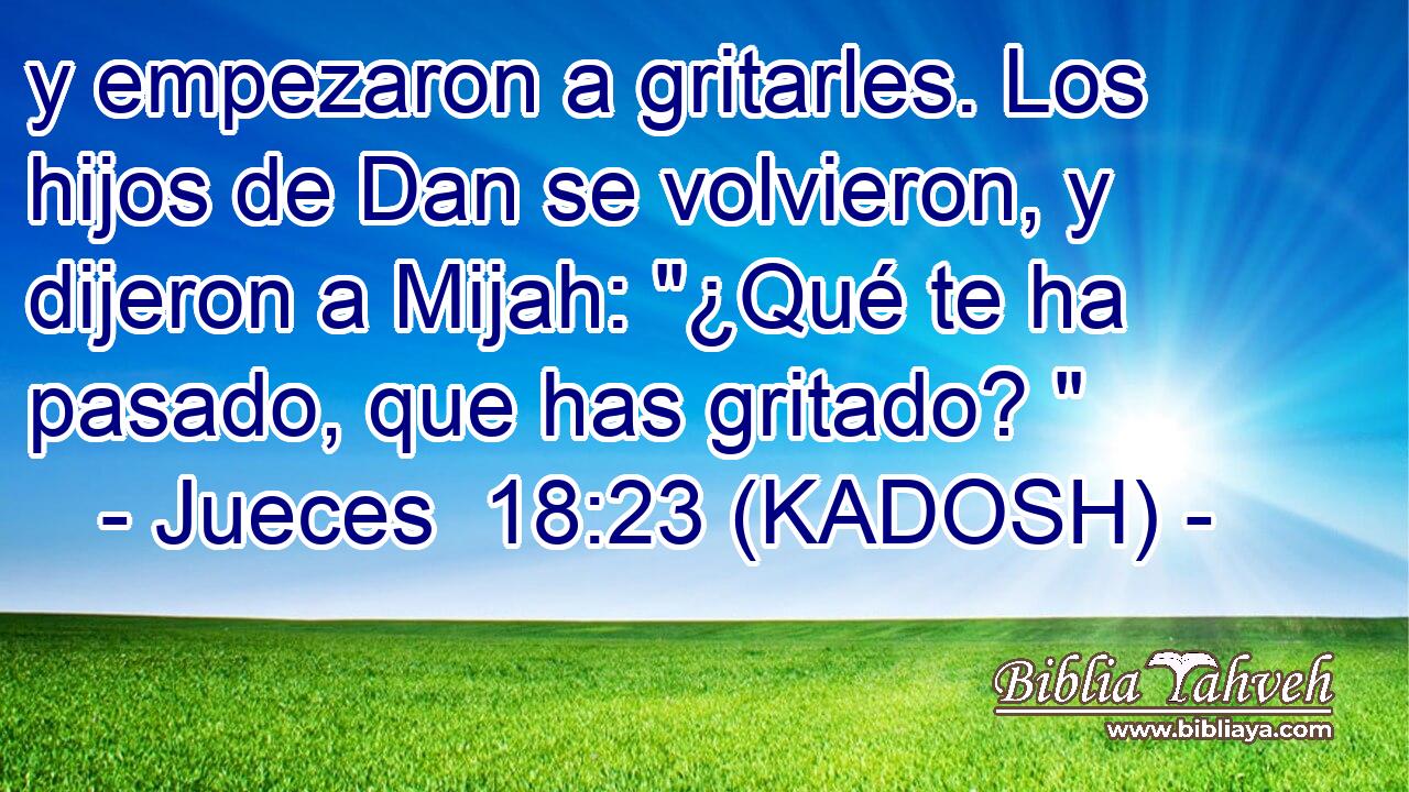  y empezaron a gritarles. Los hijos de Dan se volvieron, y dijeron a Mijah: 