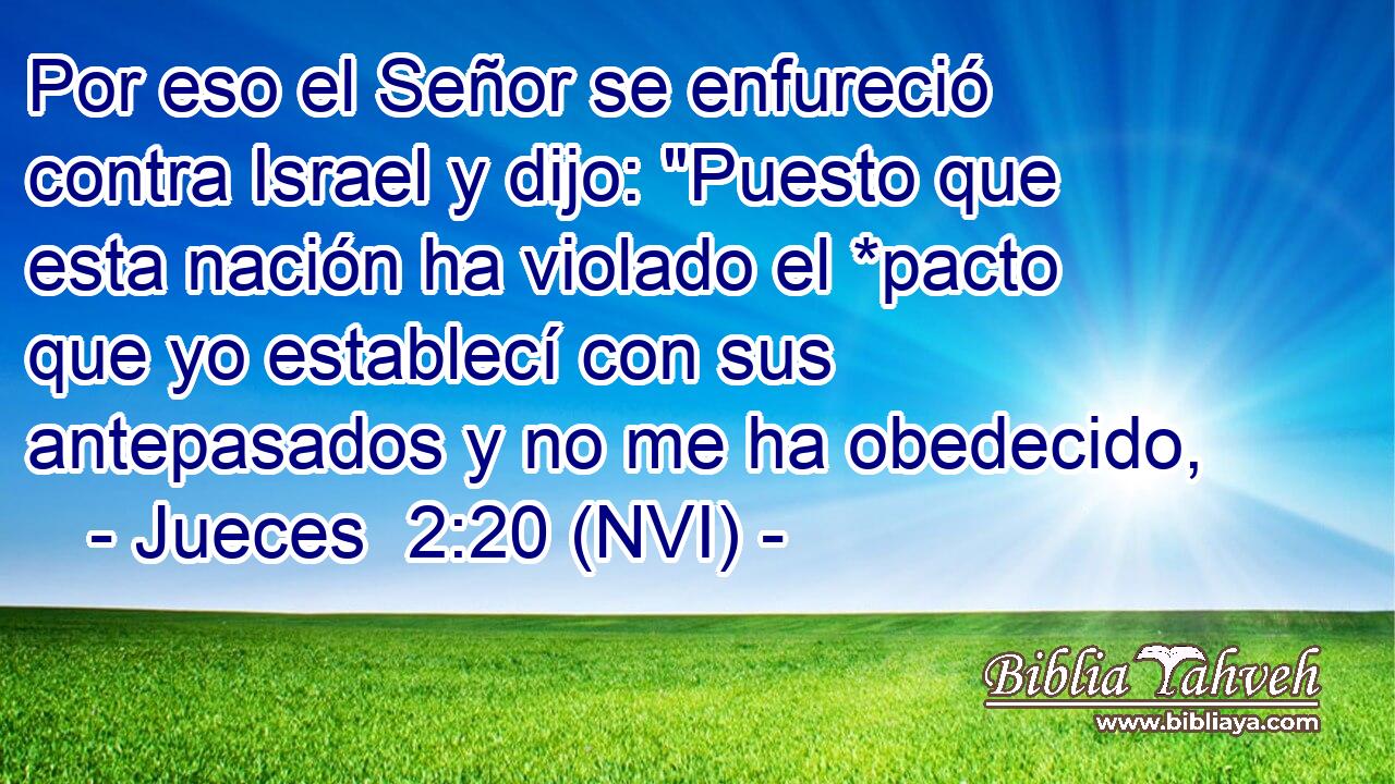  Por eso el Señor se enfureció contra Israel y dijo: 