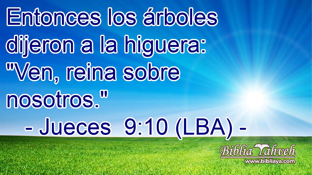 Entonces los árboles dijeron a la higuera: 