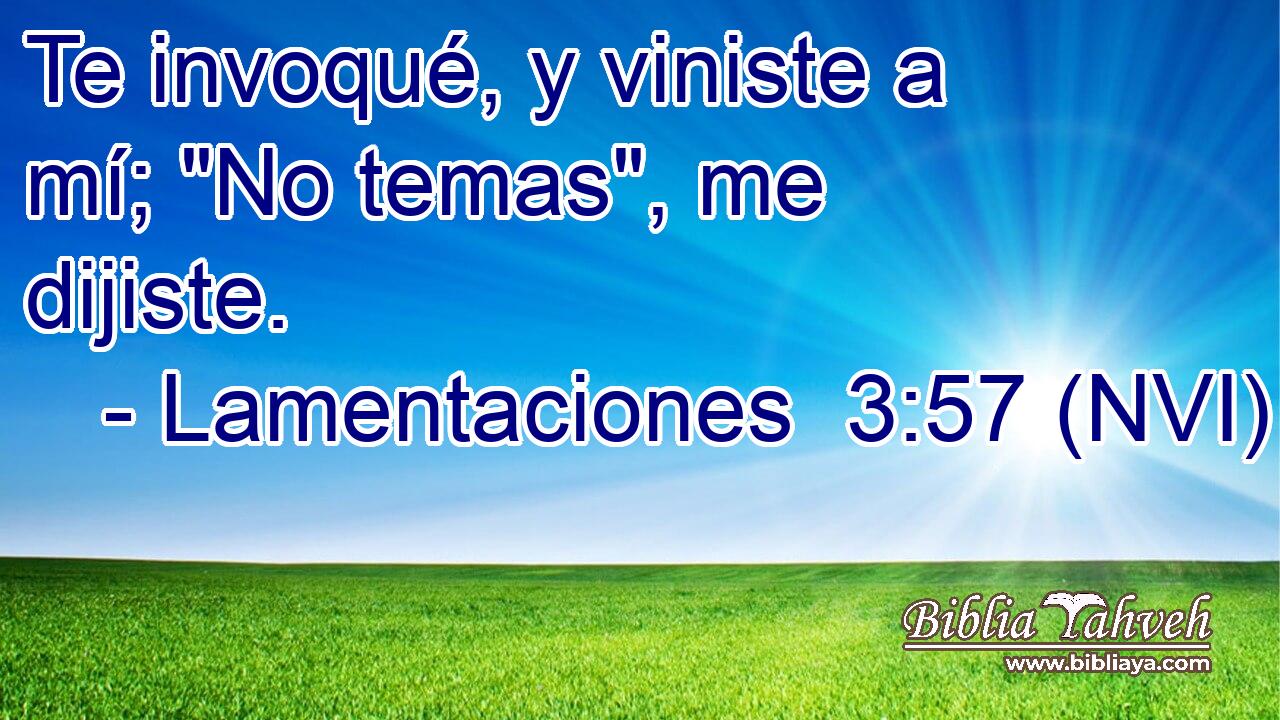  Te invoqué, y viniste a mí; 