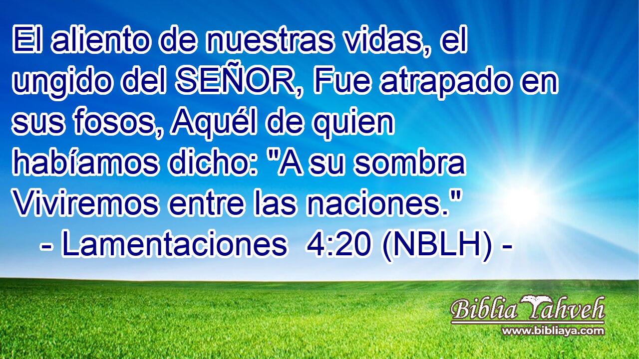  El aliento de nuestras vidas, el ungido del SEÑOR, Fue atrapado en sus fosos, Aquél de quien habíamos dicho: 
