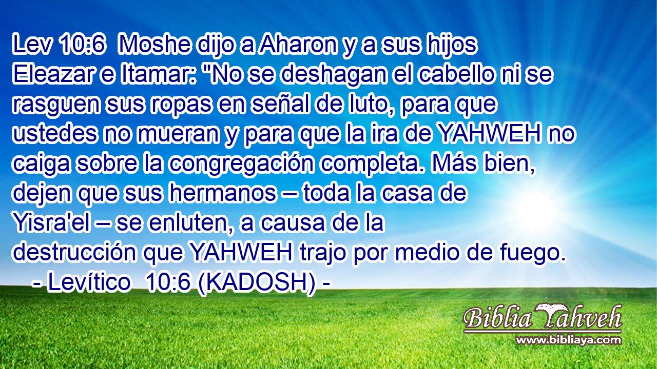  Moshe dijo a Aharon y a sus hijos Eleazar e Itamar: 