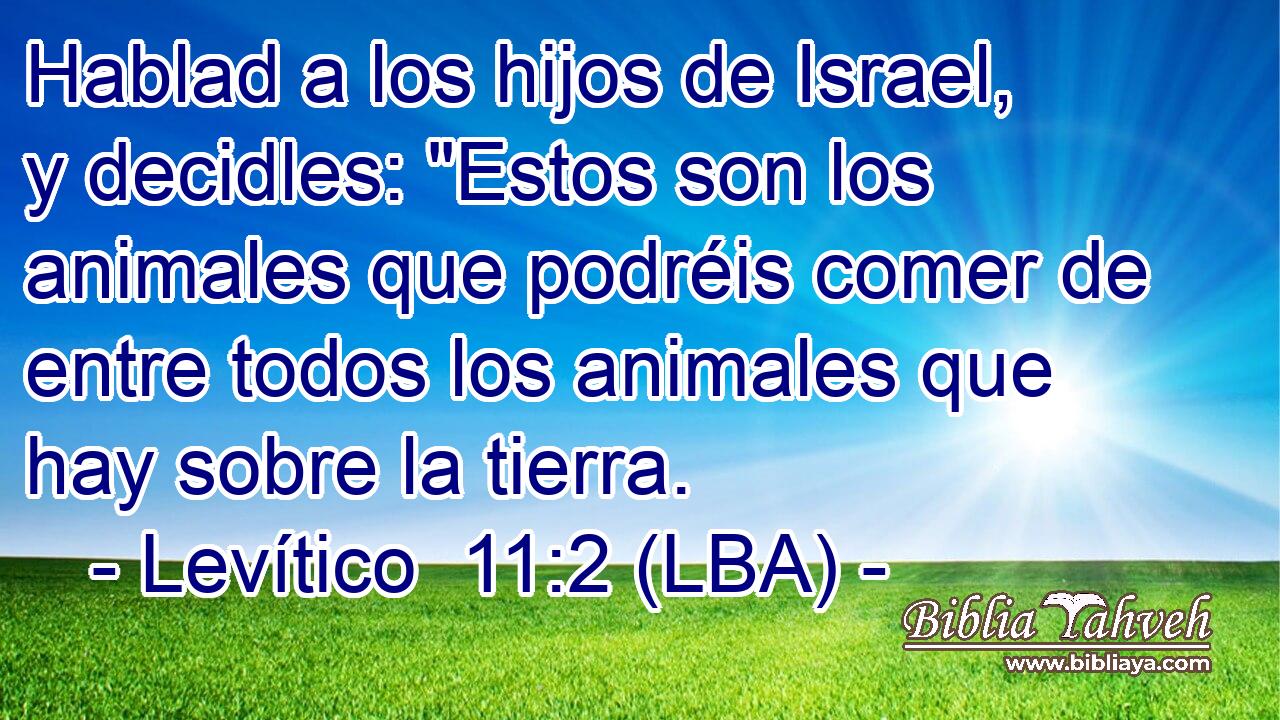 Hablad a los hijos de Israel, y decidles: 