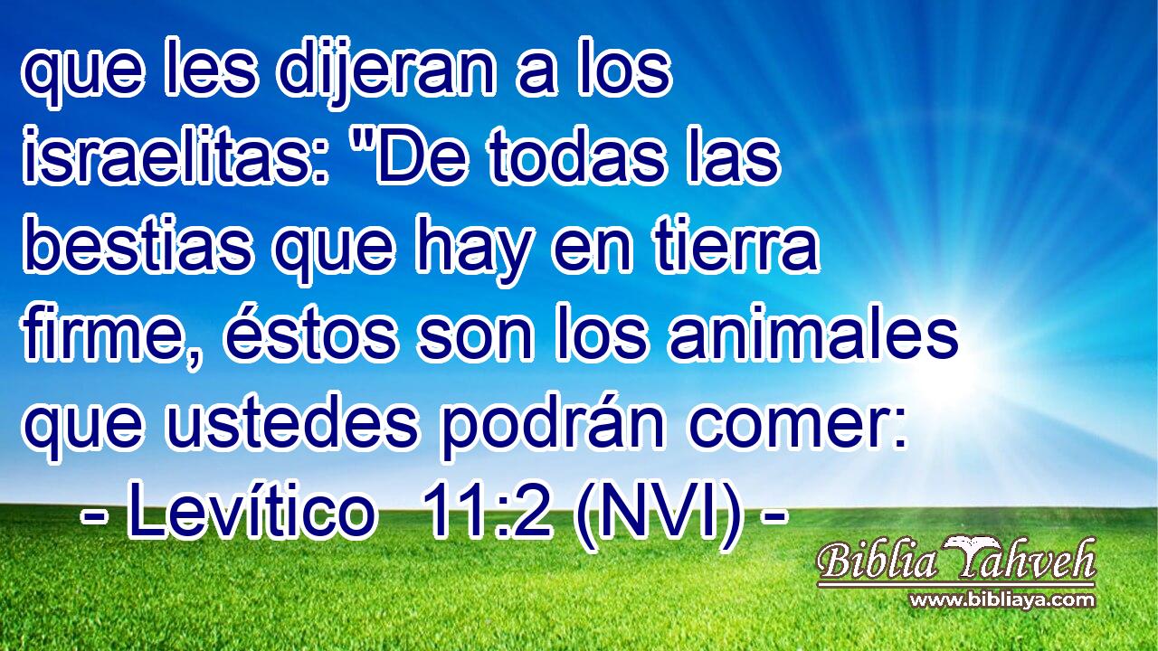  que les dijeran a los israelitas: 