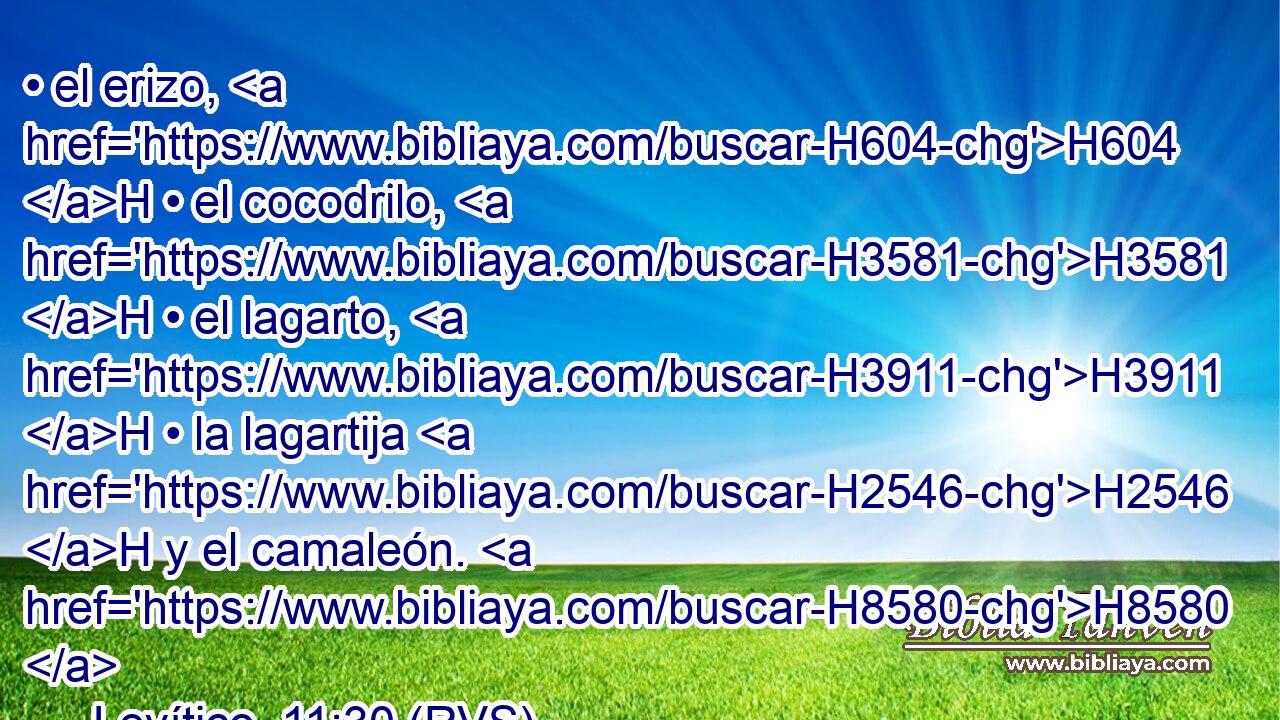 • el erizo, H604 H • el cocodrilo, H3581 H • el lagarto, H3911 H • la lagartija H2546 H y el camaleón. H8580  