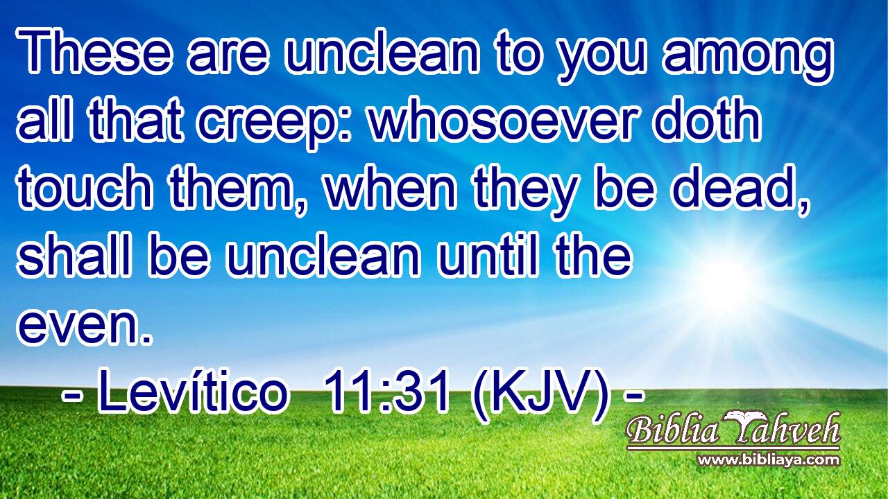 These are unclean to you among all that creep: whosoever doth touch them, when they be dead, shall be unclean until the even.