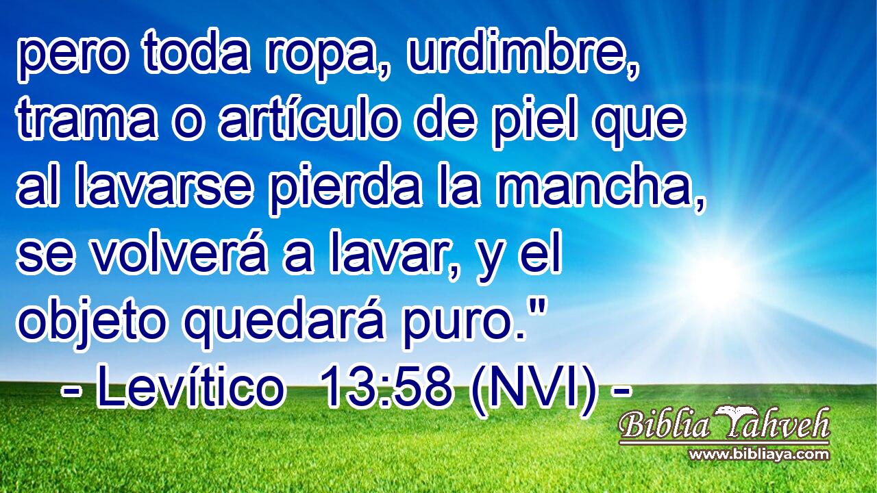  pero toda ropa, urdimbre, trama o artículo de piel que al lavarse pierda la mancha, se volverá a lavar, y el objeto quedará puro.