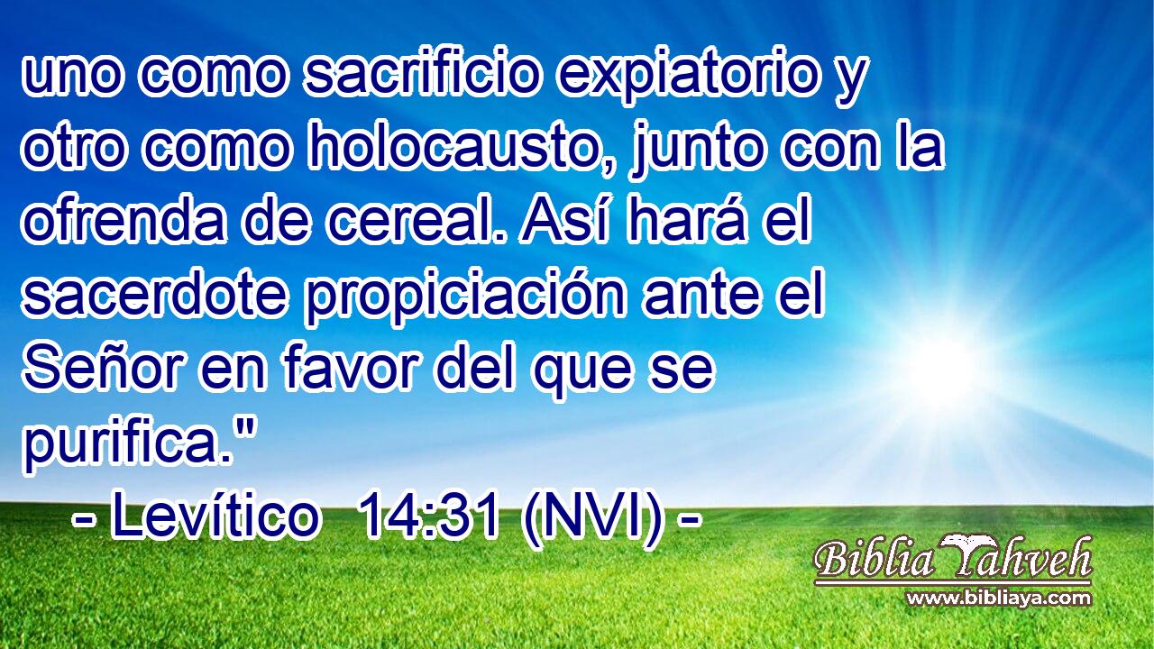  uno como sacrificio expiatorio y otro como holocausto, junto con la ofrenda de cereal. Así hará el sacerdote propiciación ante el Señor en favor del que se purifica.