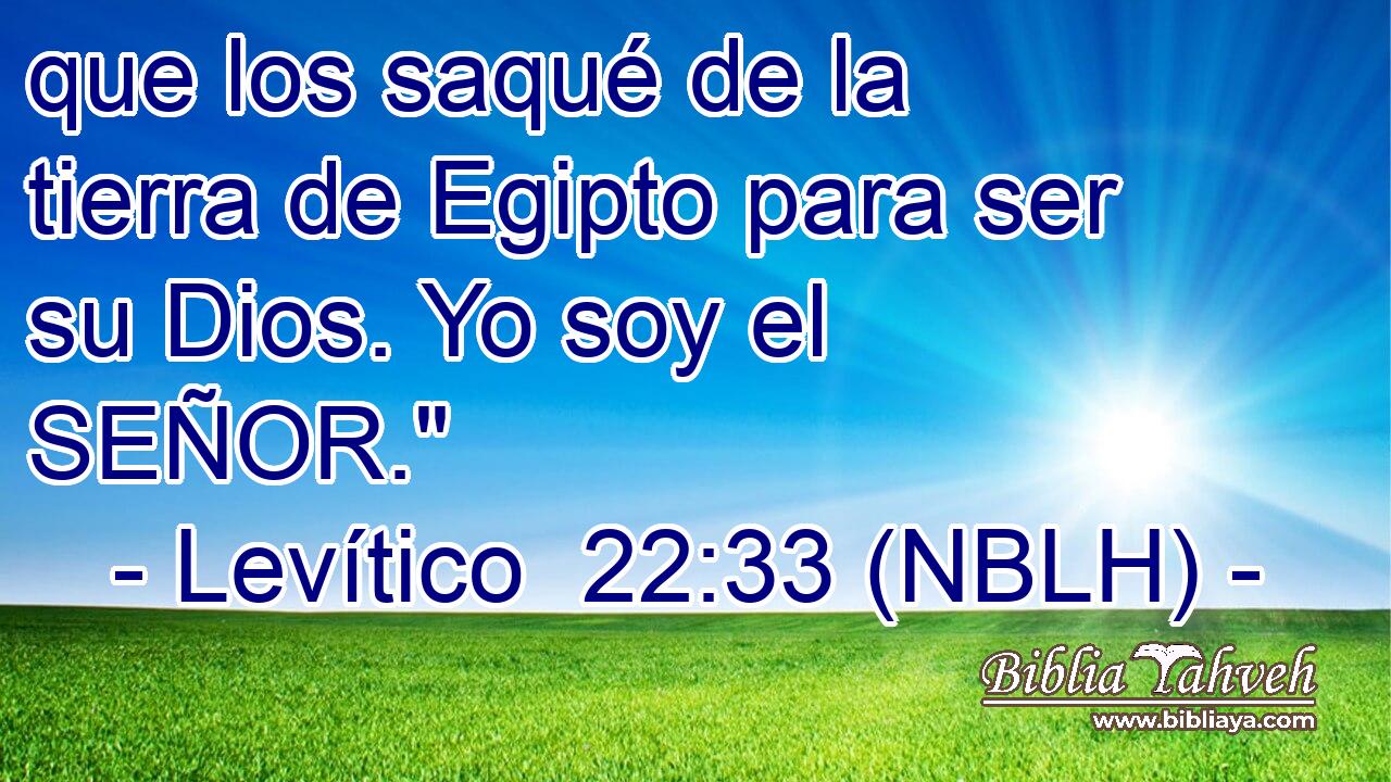  que los saqué de la tierra de Egipto para ser su Dios. Yo soy el SEÑOR.