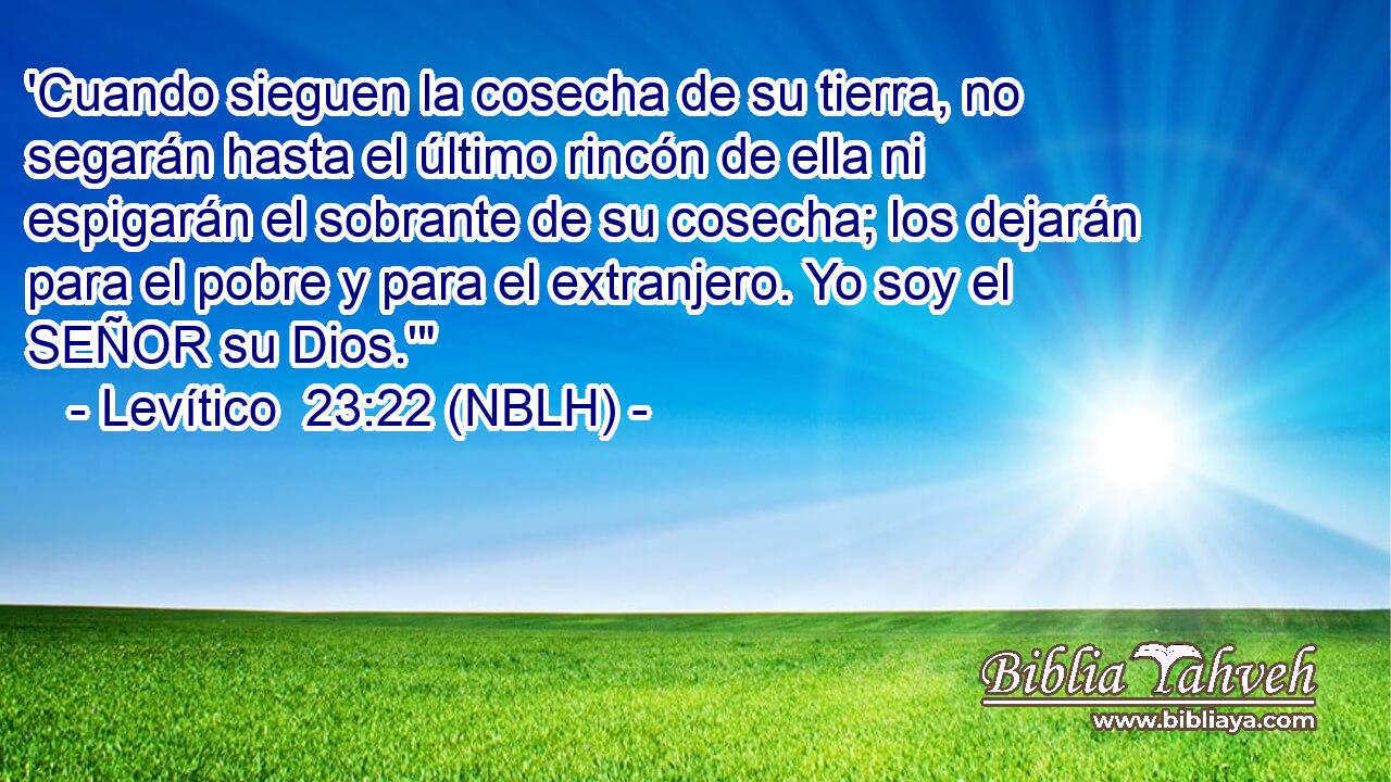  'Cuando sieguen la cosecha de su tierra, no segarán hasta el último rincón de ella ni espigarán el sobrante de su cosecha; los dejarán para el pobre y para el extranjero. Yo soy el SEÑOR su Dios.'