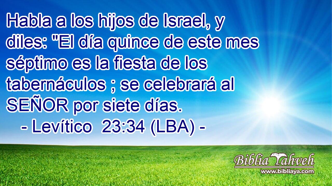 Habla a los hijos de Israel, y diles: 