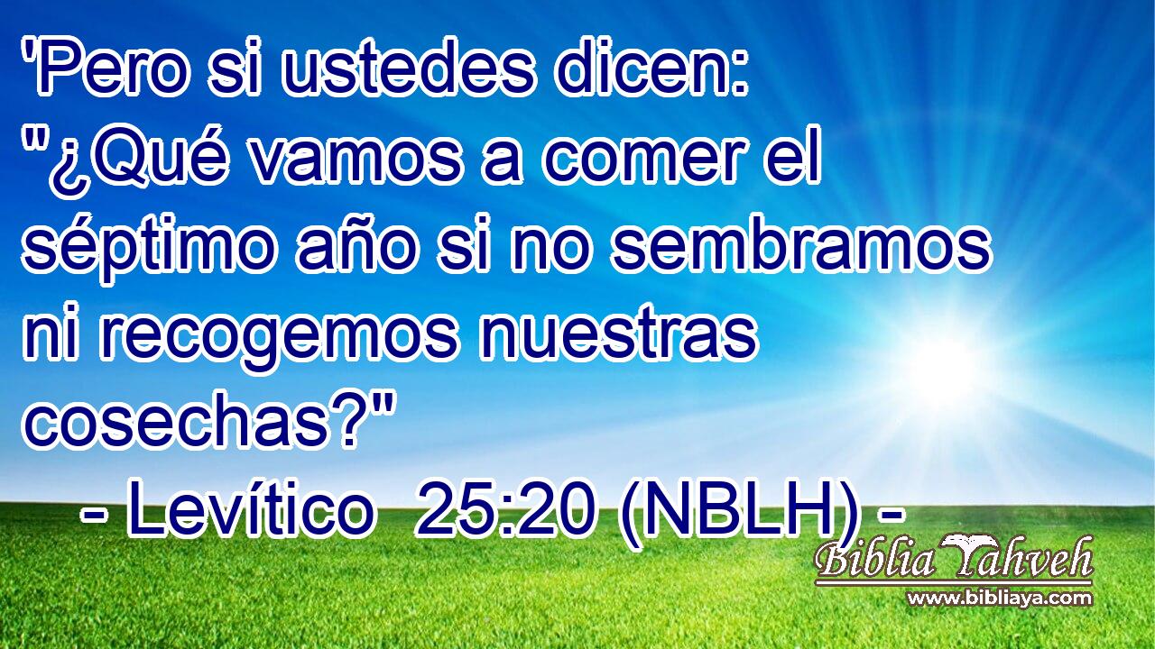 'Pero si ustedes dicen: 