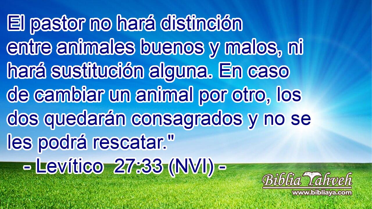  El pastor no hará distinción entre animales buenos y malos, ni hará sustitución alguna. En caso de cambiar un animal por otro, los dos quedarán consagrados y no se les podrá rescatar.