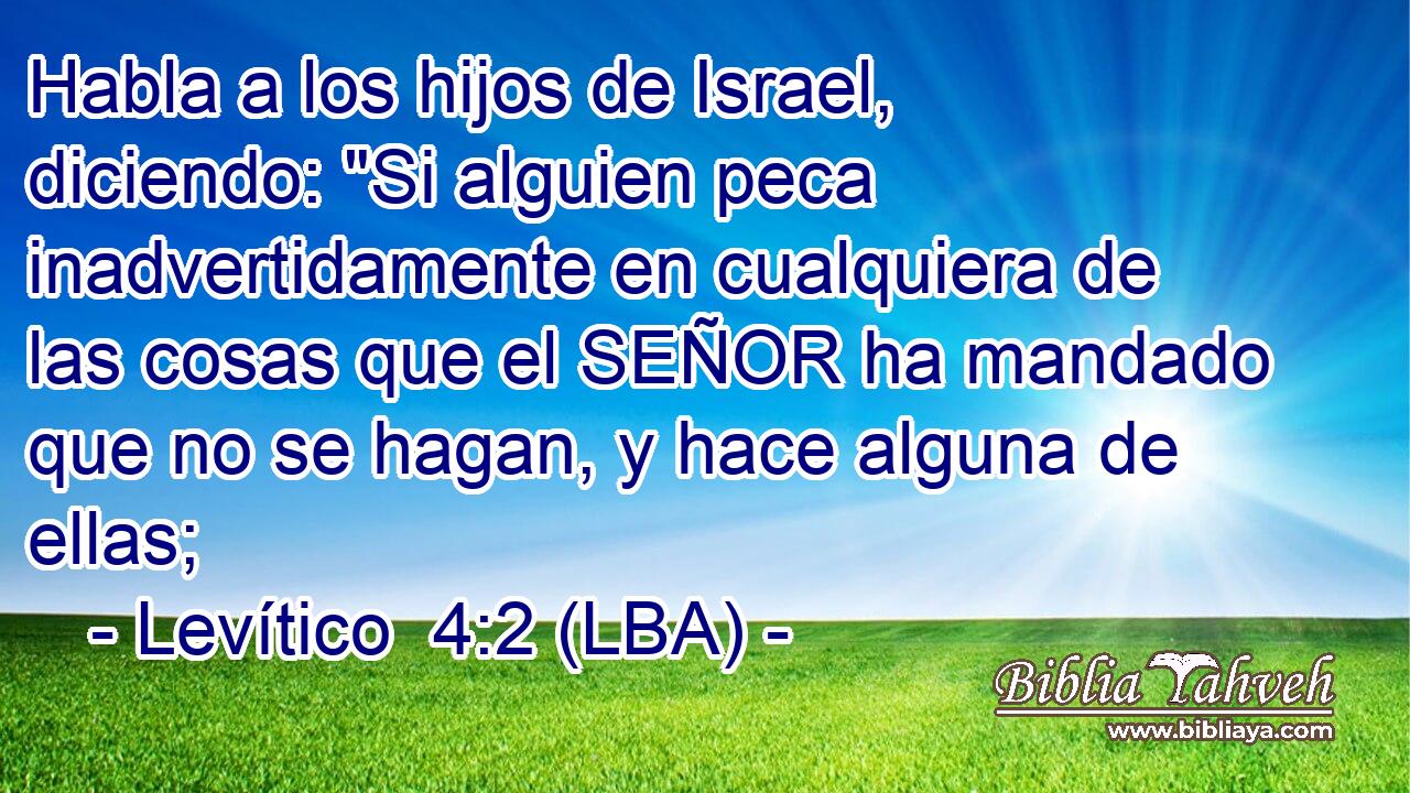 Habla a los hijos de Israel, diciendo: 