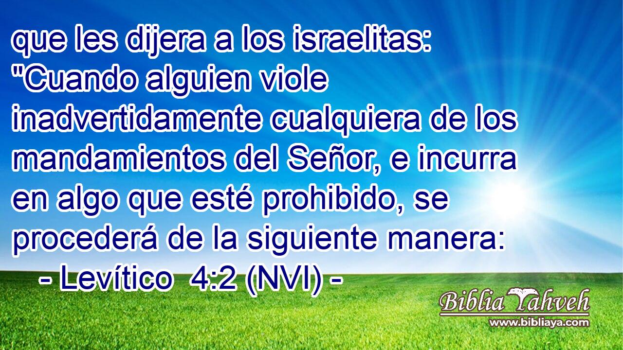  que les dijera a los israelitas: 