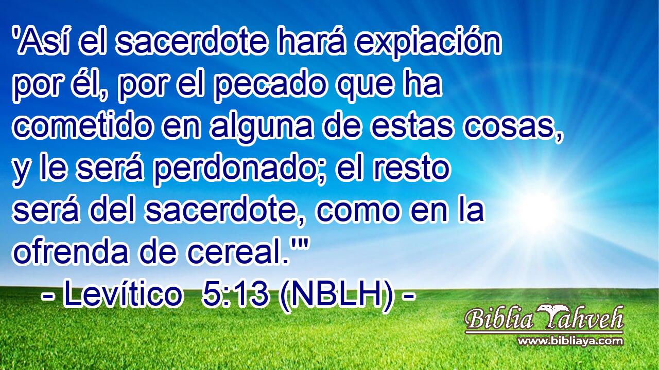  'Así el sacerdote hará expiación por él, por el pecado que ha cometido en alguna de estas cosas, y le será perdonado; el resto será del sacerdote, como en la ofrenda de cereal.'