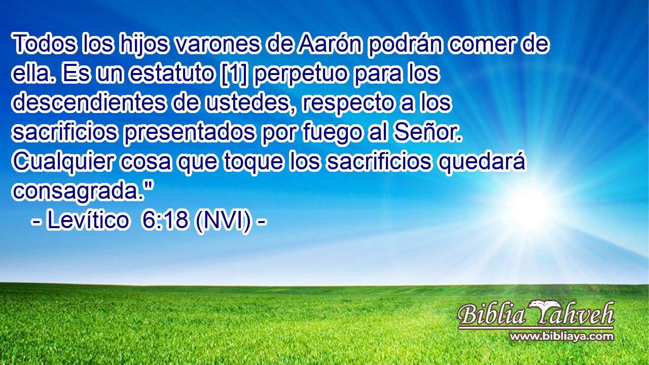  Todos los hijos varones de Aarón podrán comer de ella. Es un estatuto [1] perpetuo para los descendientes de ustedes, respecto a los sacrificios presentados por fuego al Señor. Cualquier cosa que toque los sacrificios quedará consagrada.