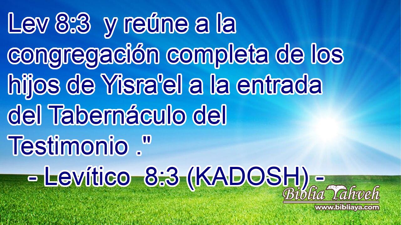  y reúne a la congregación completa de los hijos de Yisra'el a la entrada del Tabernáculo del Testimonio .