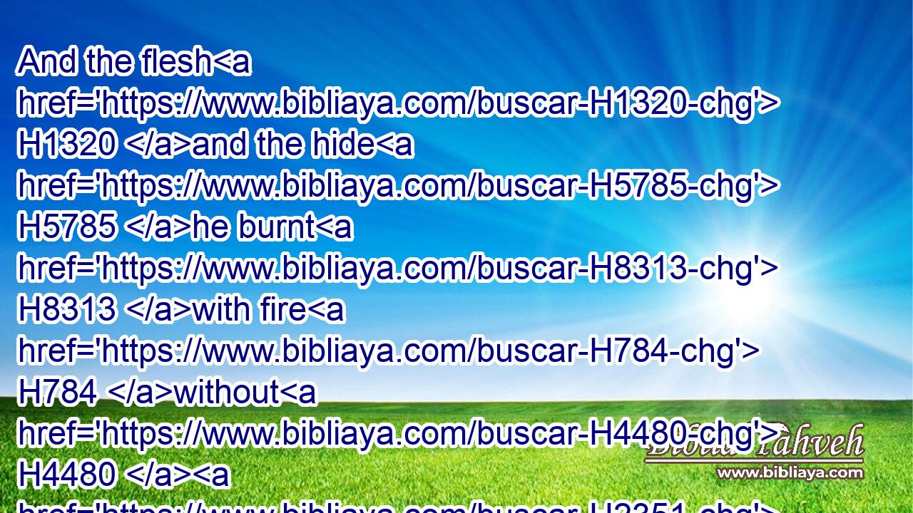 And the flesh H1320 and the hide H5785 he burnt H8313 with fire H784 without H4480  H2351 the camp.H4264