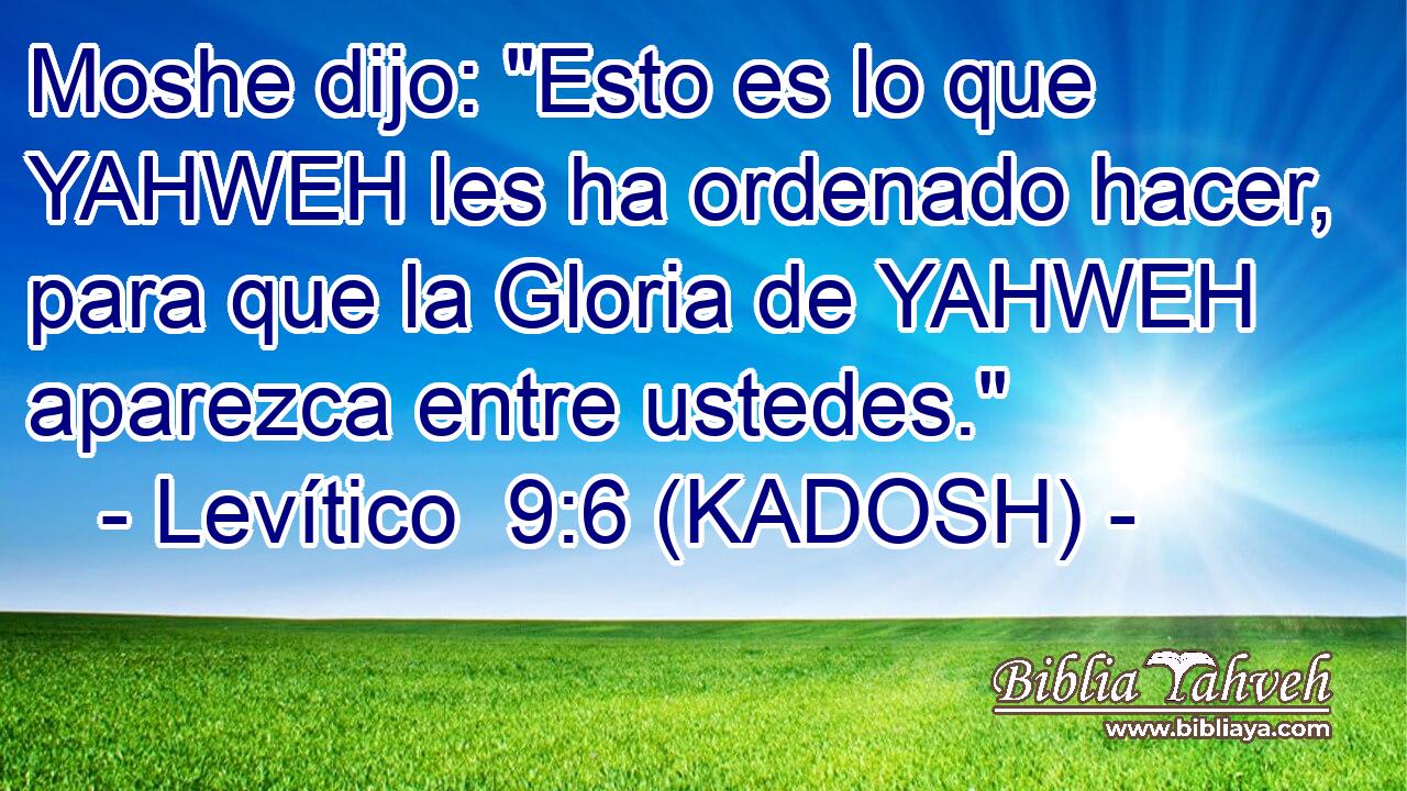  Moshe dijo: 