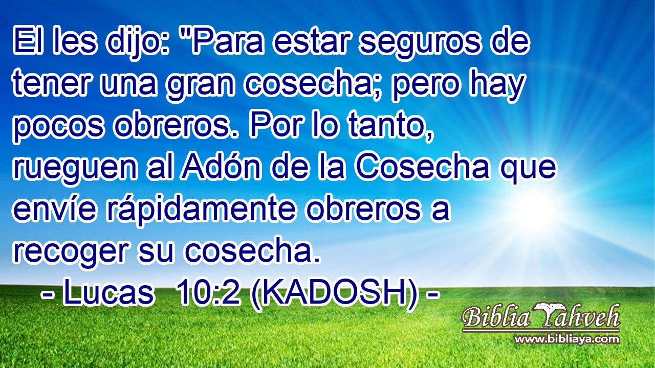  El les dijo: 