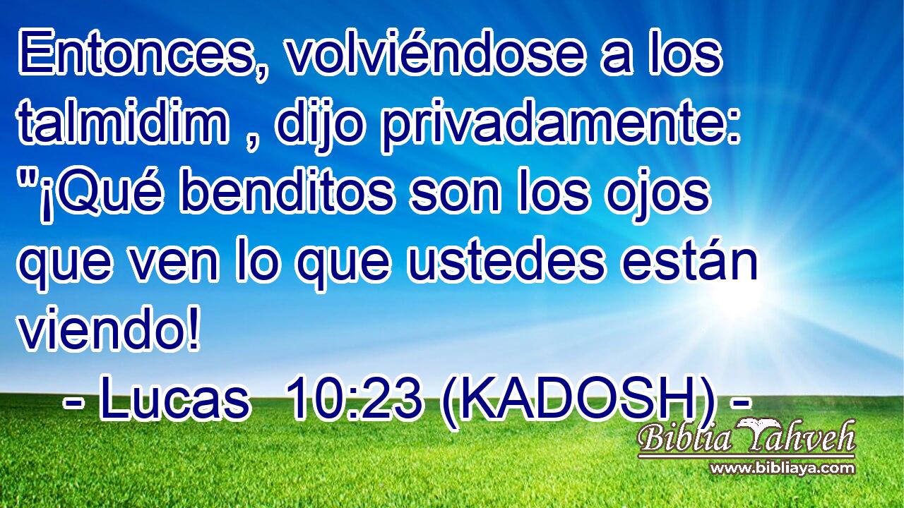  Entonces, volviéndose a los talmidim , dijo privadamente: 