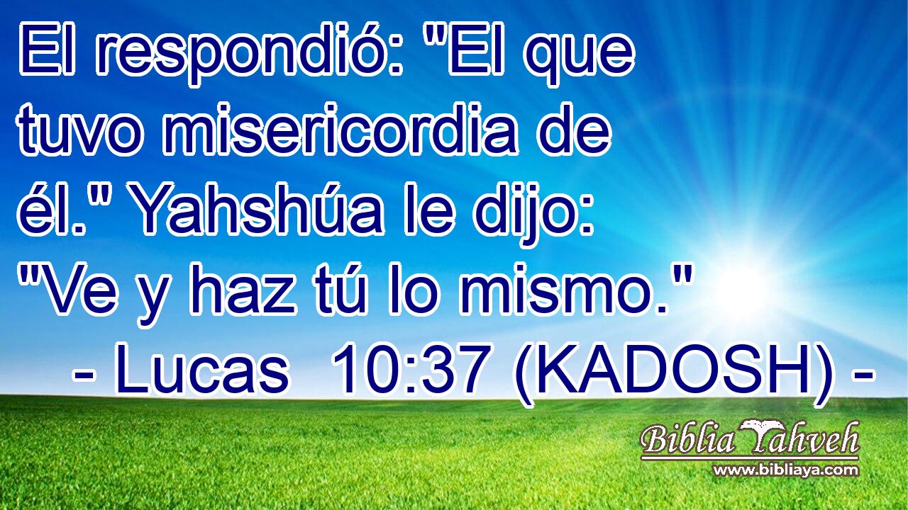  El respondió: 