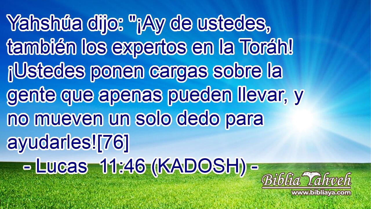  Yahshúa dijo: 