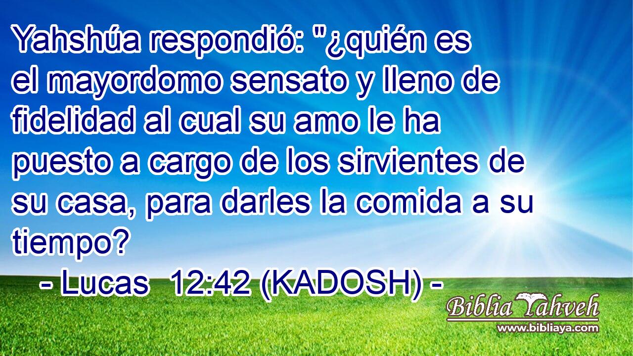  Yahshúa respondió: 