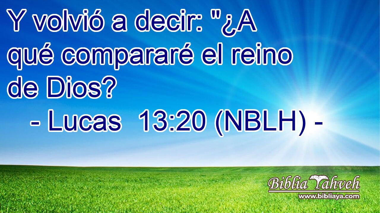  Y volvió a decir: 