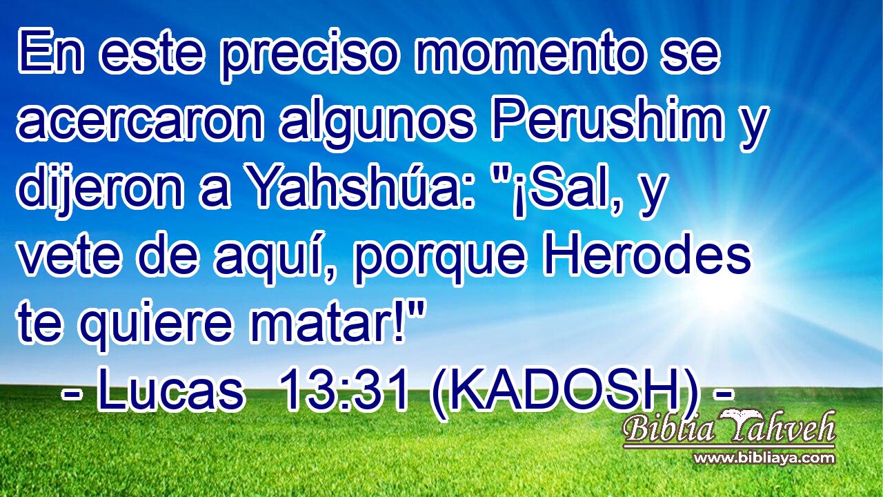  En este preciso momento se acercaron algunos Perushim y dijeron a Yahshúa: 