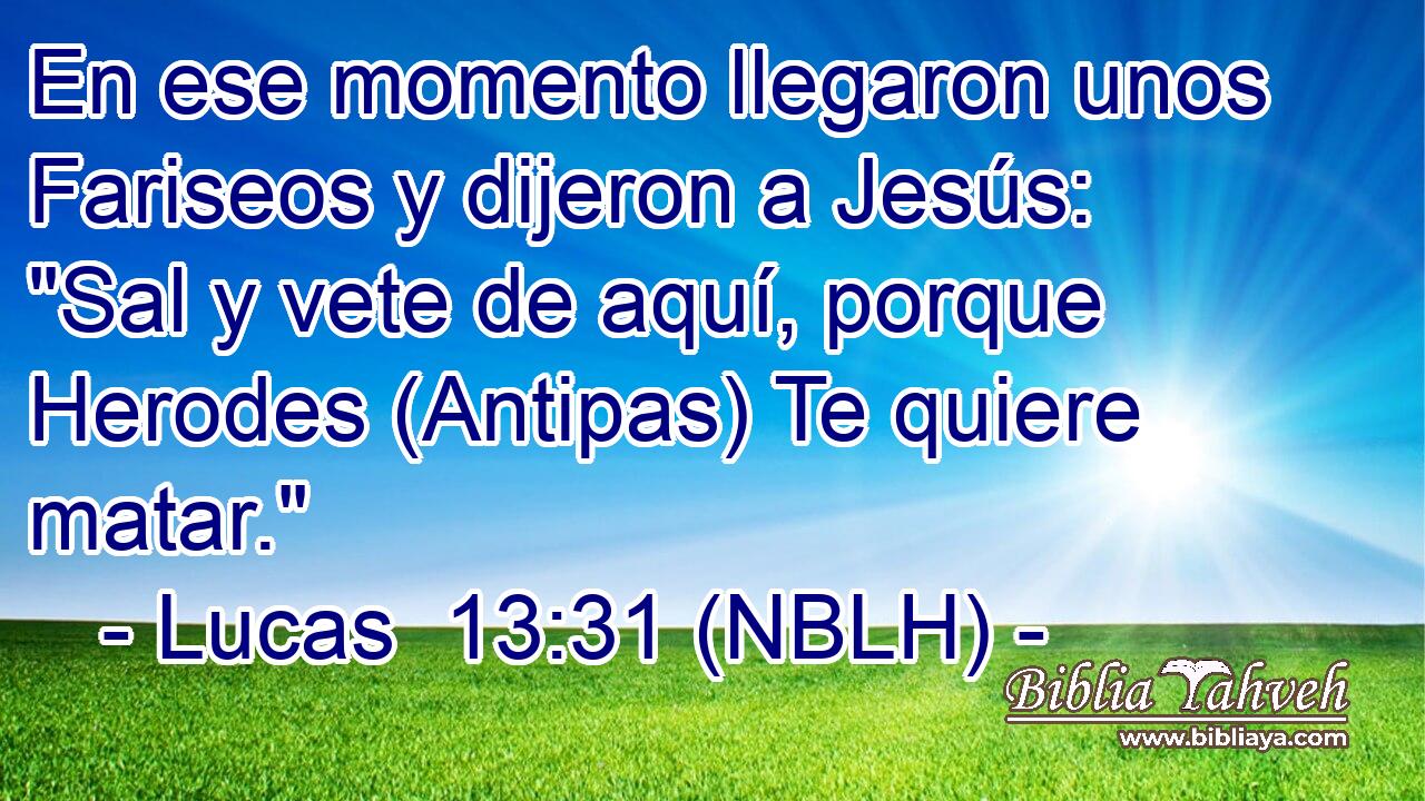  En ese momento llegaron unos Fariseos y dijeron a Jesús: 