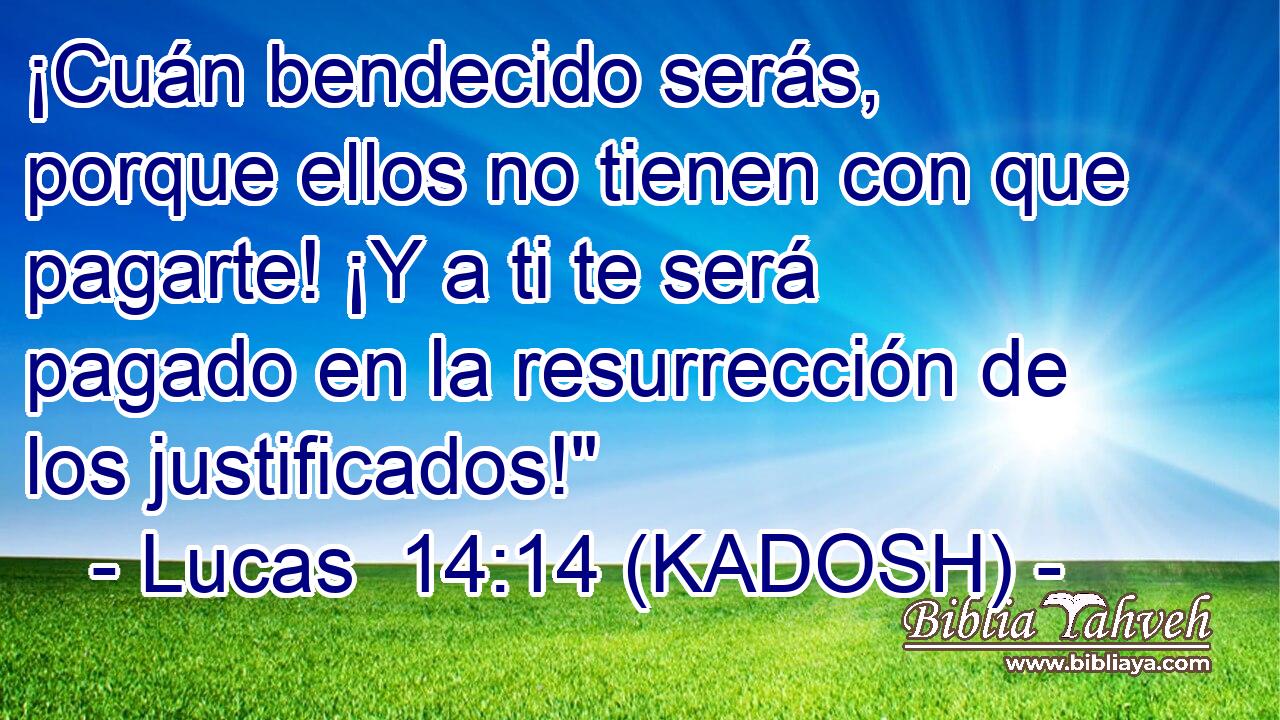  ¡Cuán bendecido serás, porque ellos no tienen con que pagarte! ¡Y a ti te será pagado en la resurrección de los justificados!