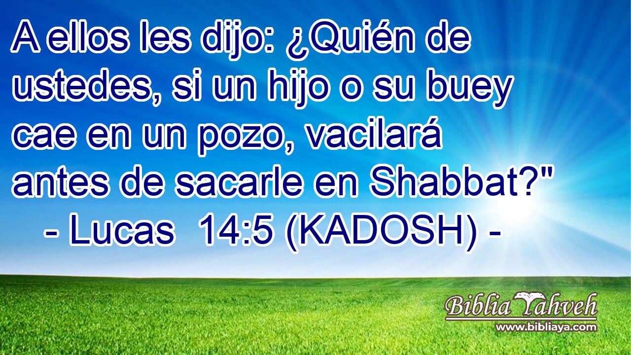  A ellos les dijo: ¿Quién de ustedes, si un hijo o su buey cae en un pozo, vacilará antes de sacarle en Shabbat?